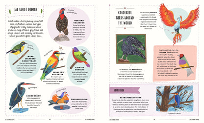 Fly: A Childs Guide to Birds