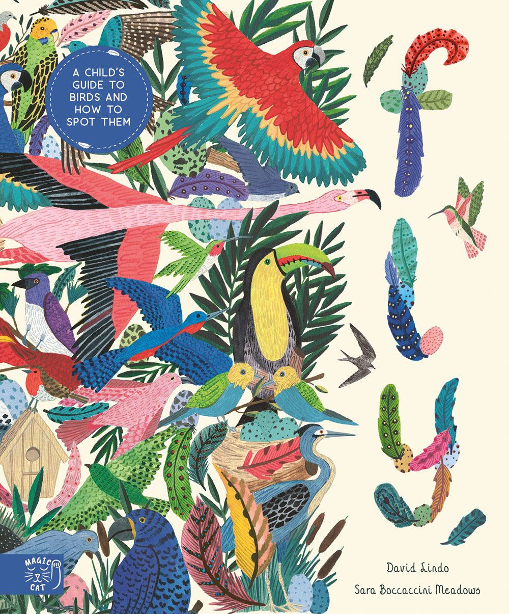 Fly: A Childs Guide to Birds