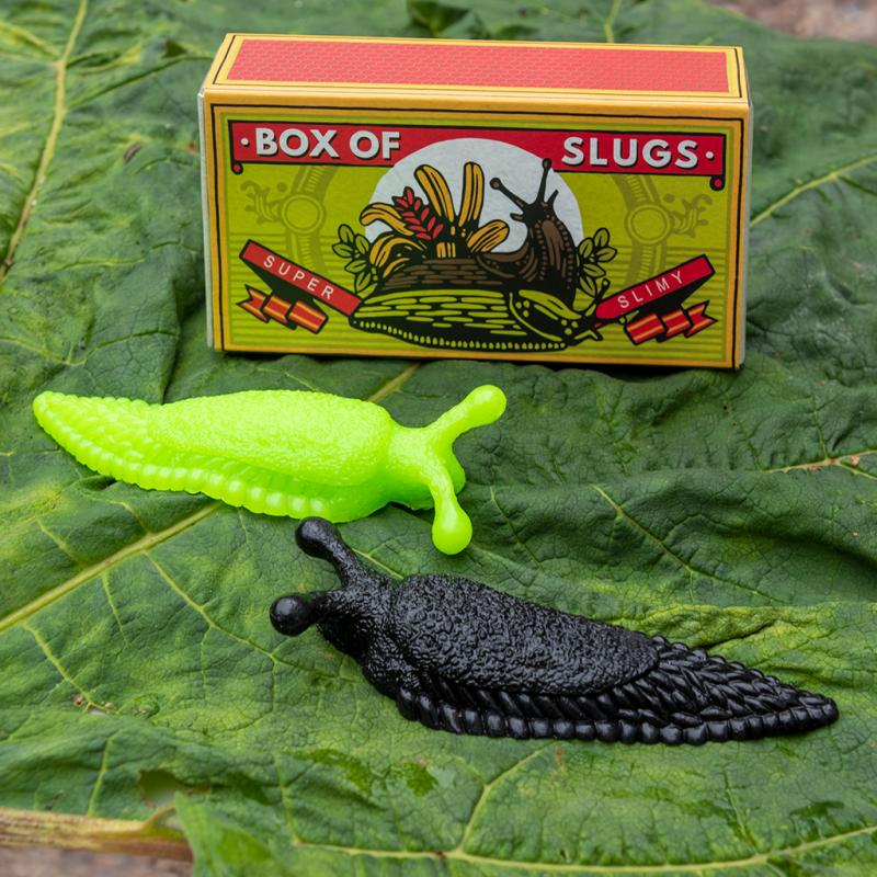 Box of slimy slugs