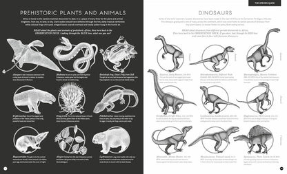 Illumipedia: Discover Nature