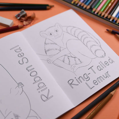 Amazing Animals Set Two Colouring Book