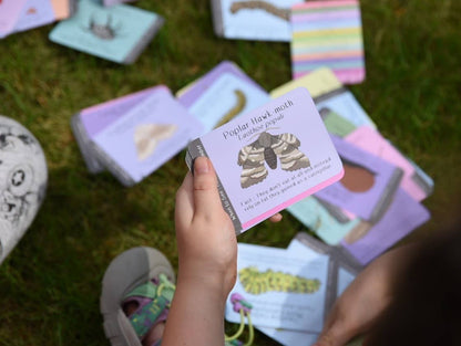 Amazing British Bugs ID Cards