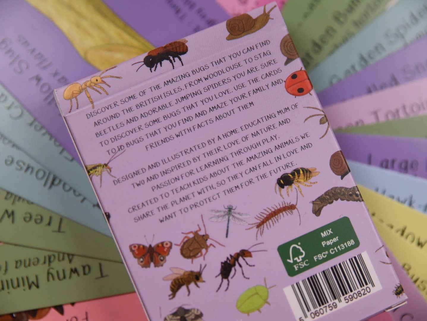 Amazing British Bugs ID Cards