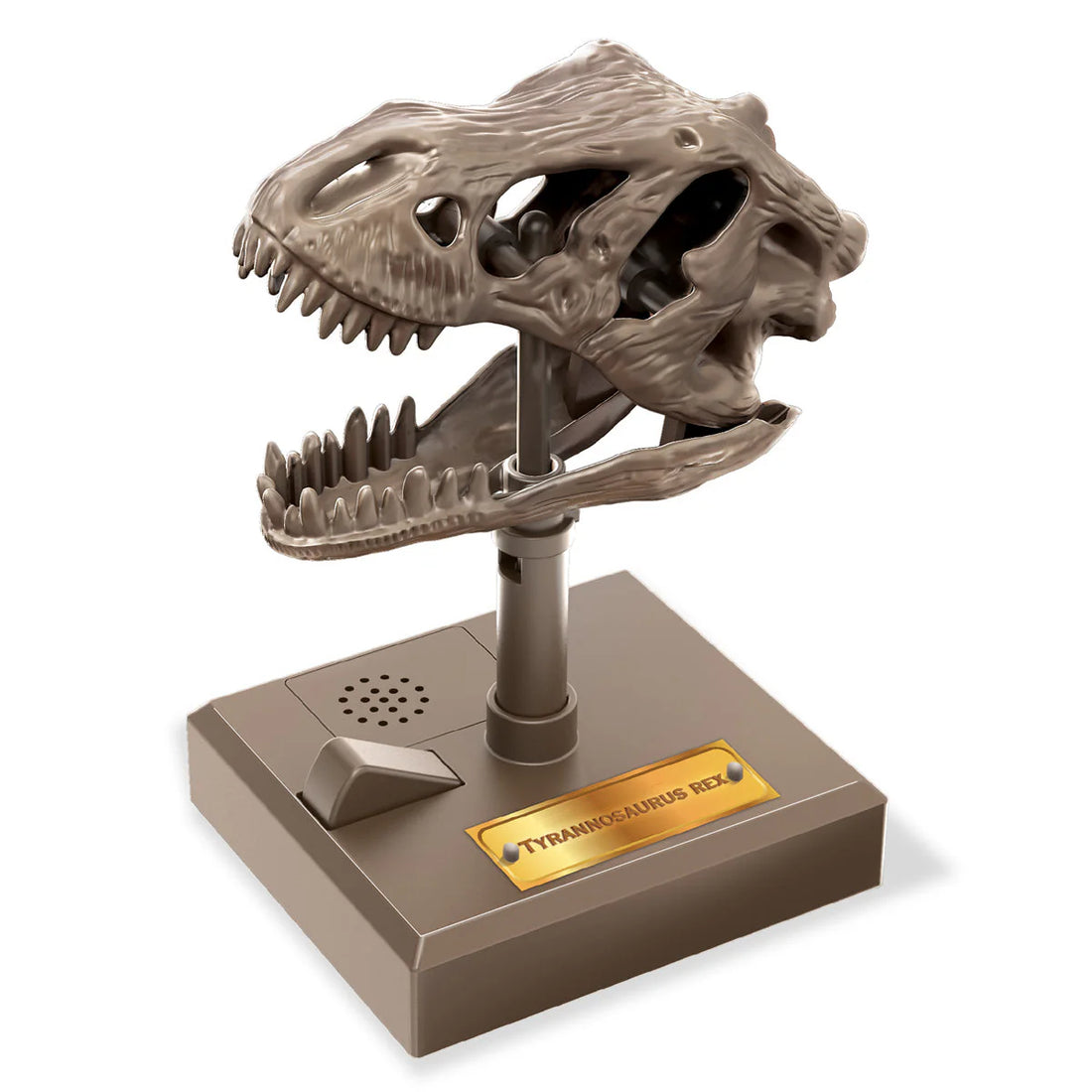 KidzLabs Roaring TRex Skull