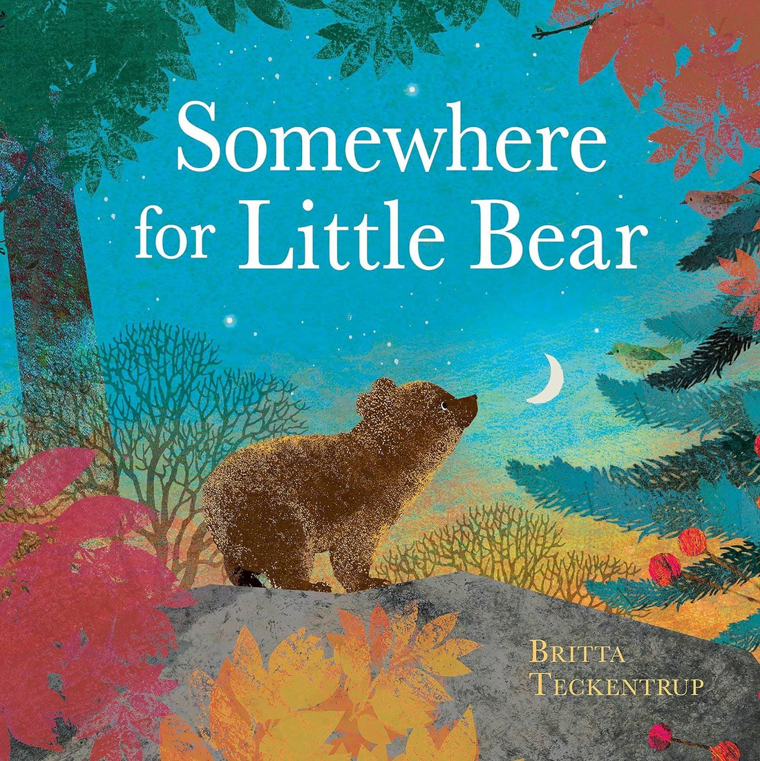 Somewhere for Little Bear (PB)