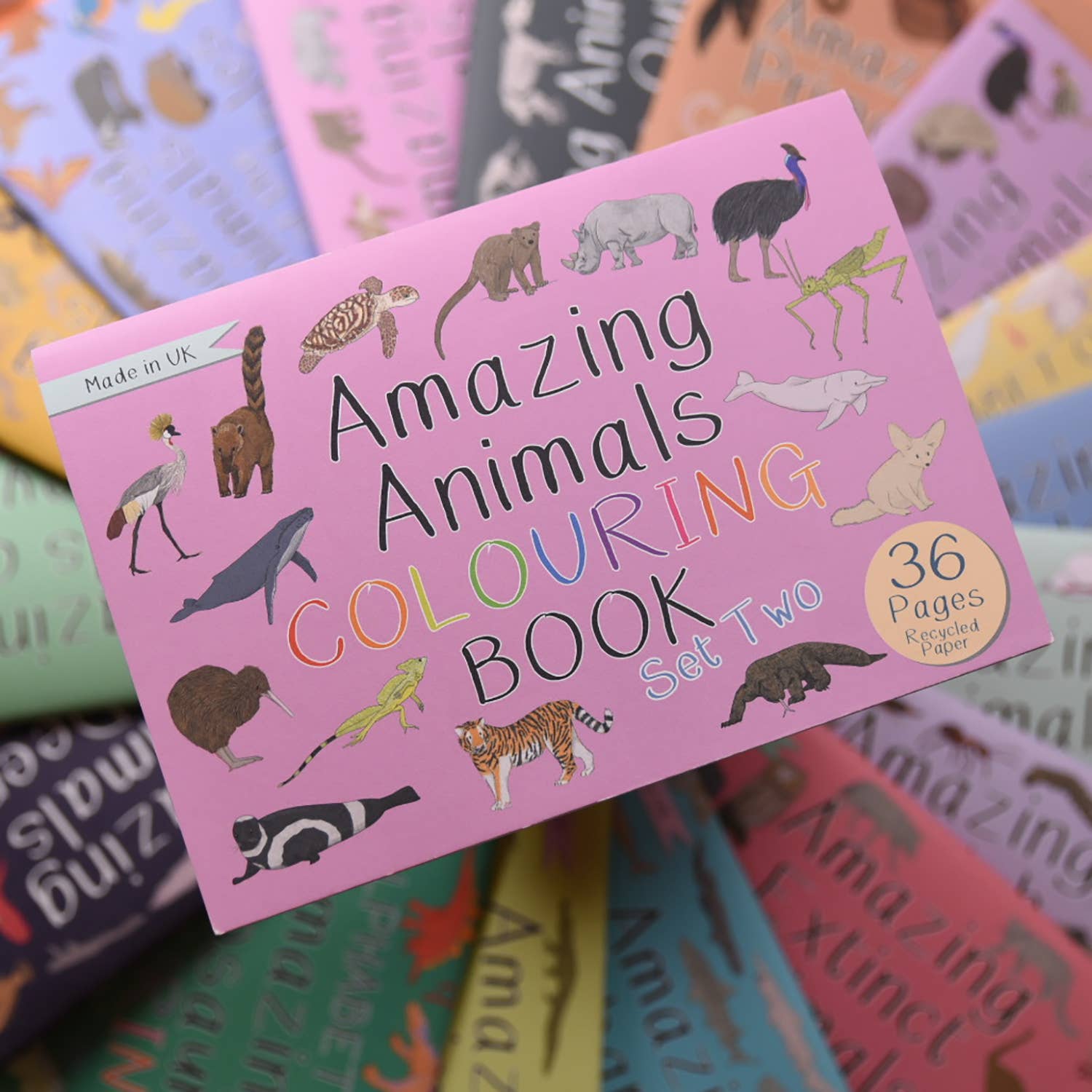 Amazing Animals Set Two Colouring Book