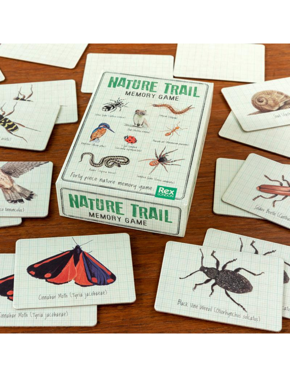 Nature Trail Memory Game (40 Pieces)