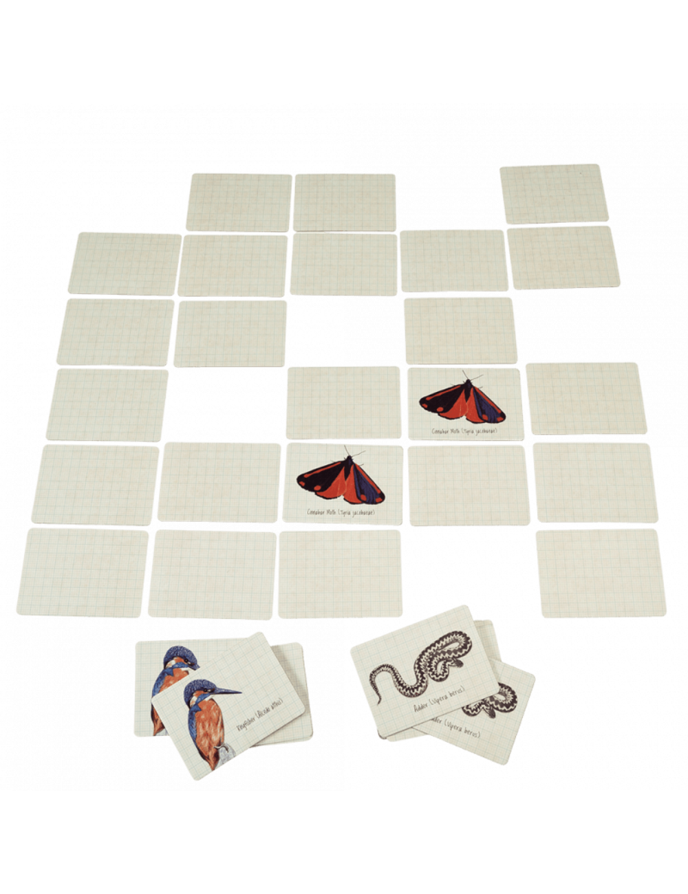 Nature Trail Memory Game (40 Pieces)